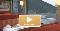 GoldLeaf Dining Coach - Virtual Tour