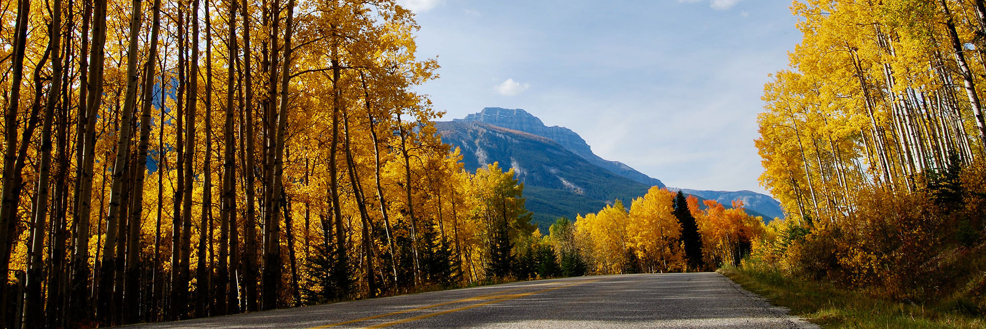Bow Valley Parkway